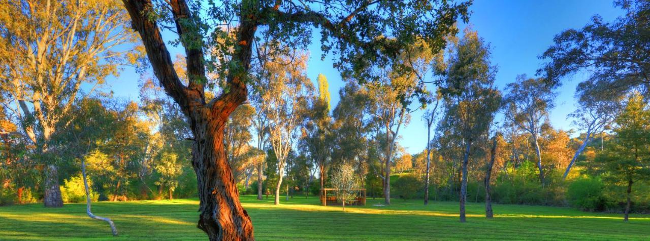 Yea Riverside Caravan Park エクステリア 写真